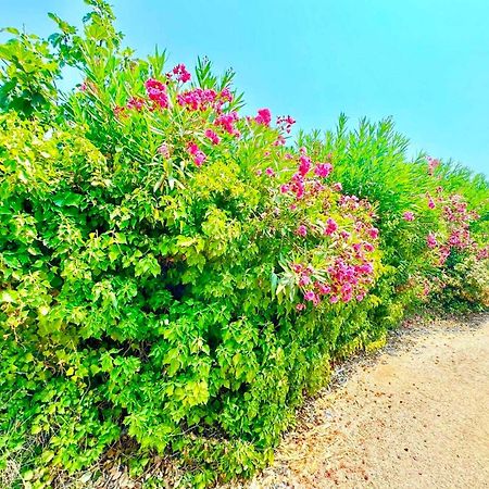 Tetraktys Estate Beachside Υδωρ Ágios Matthaíos Esterno foto