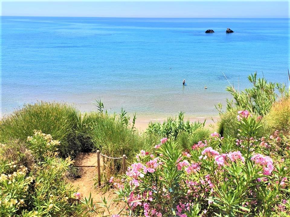 Tetraktys Estate Beachside Υδωρ Ágios Matthaíos Esterno foto