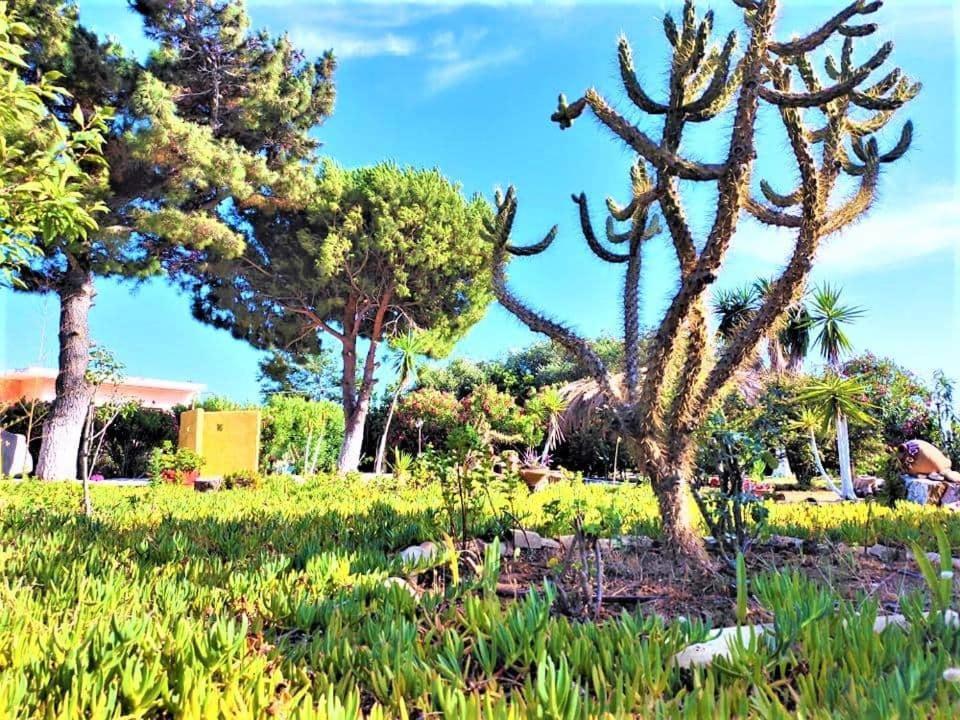Tetraktys Estate Beachside Υδωρ Ágios Matthaíos Esterno foto