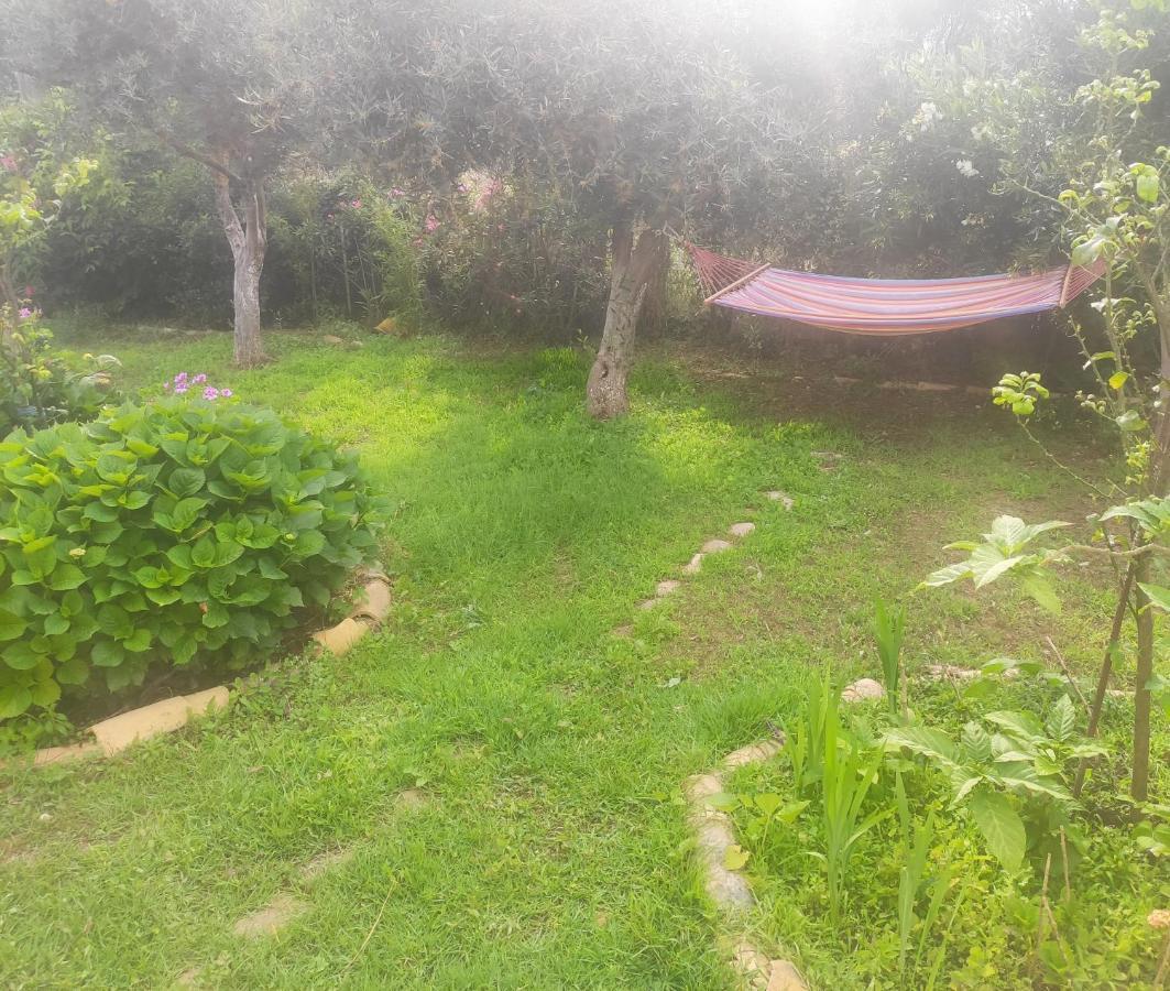 Tetraktys Estate Beachside Υδωρ Ágios Matthaíos Esterno foto