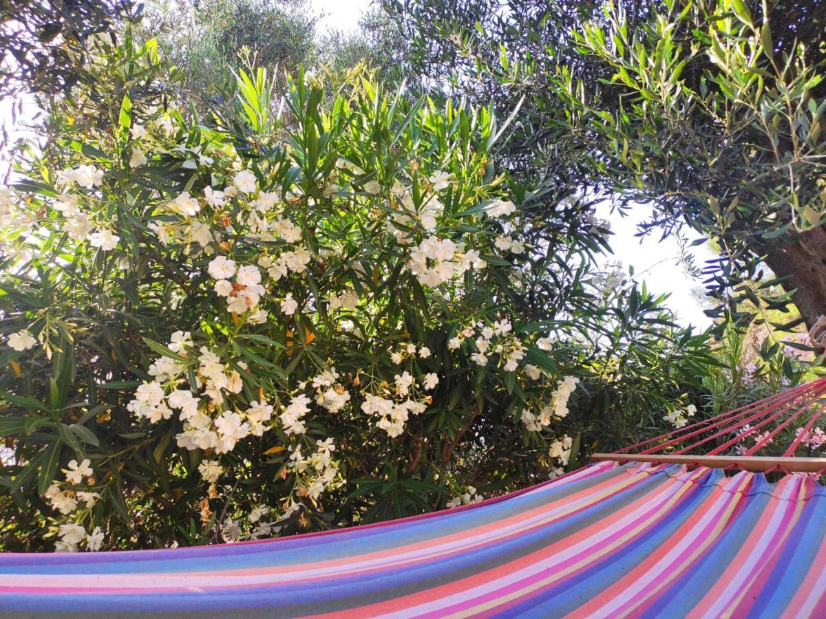 Tetraktys Estate Beachside Υδωρ Ágios Matthaíos Esterno foto