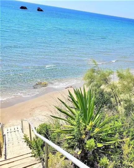 Tetraktys Estate Beachside Υδωρ Ágios Matthaíos Esterno foto